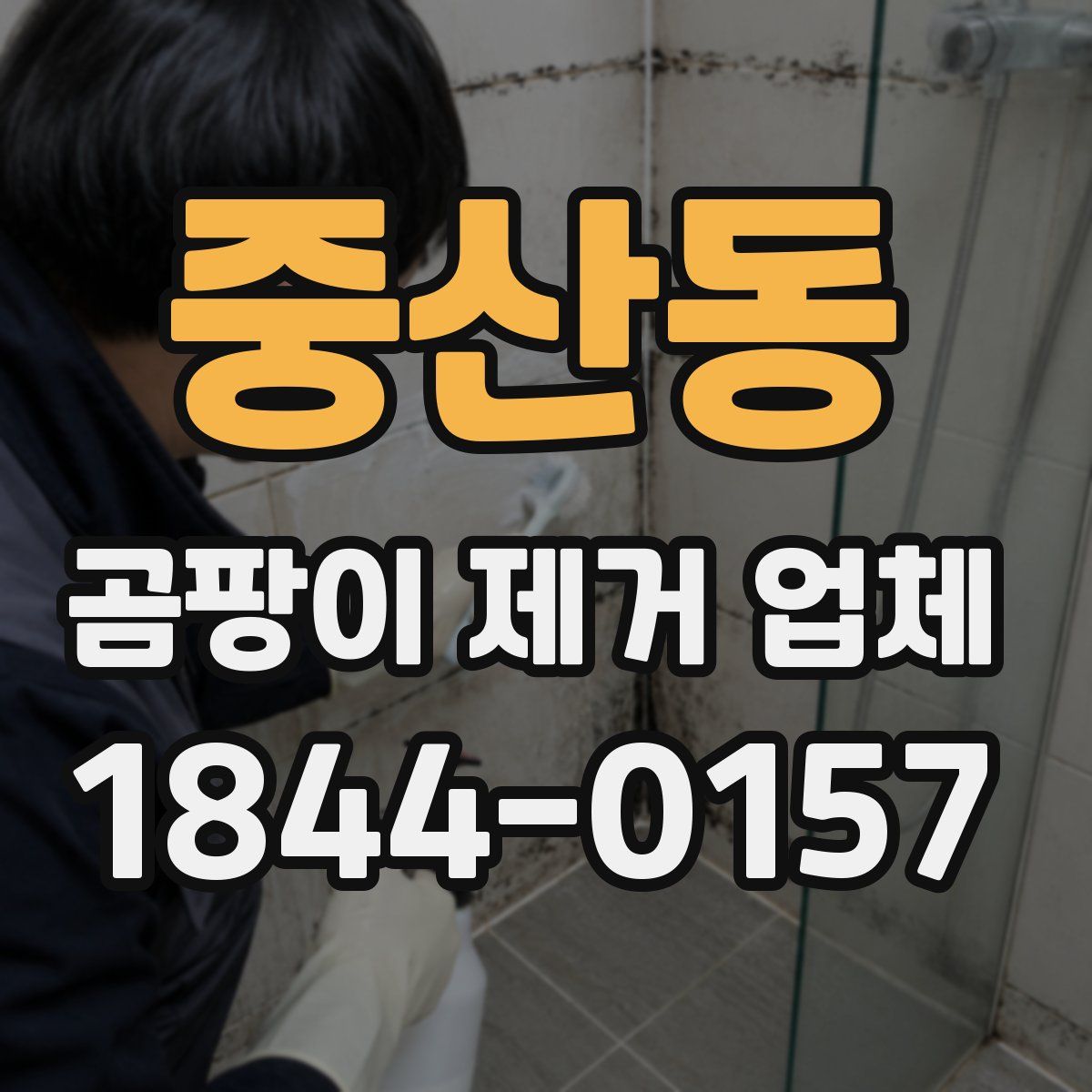 중산동 곰팡이 제거 업체