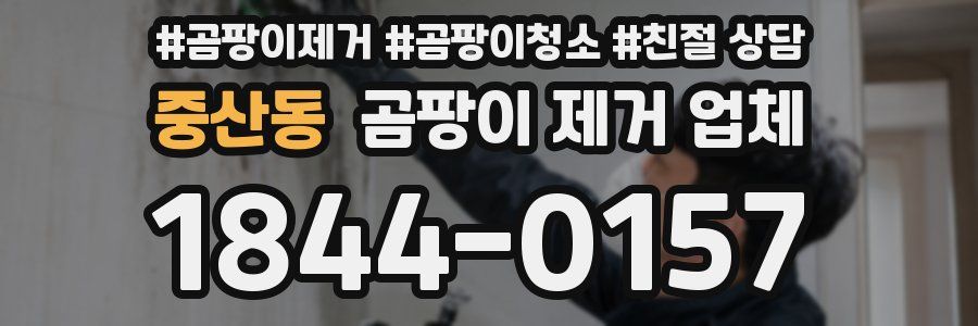 중산동 곰팡이 제거 업체