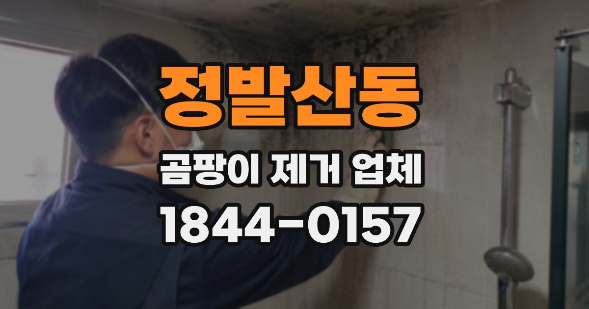 정발산동 곰팡이 제거 업체