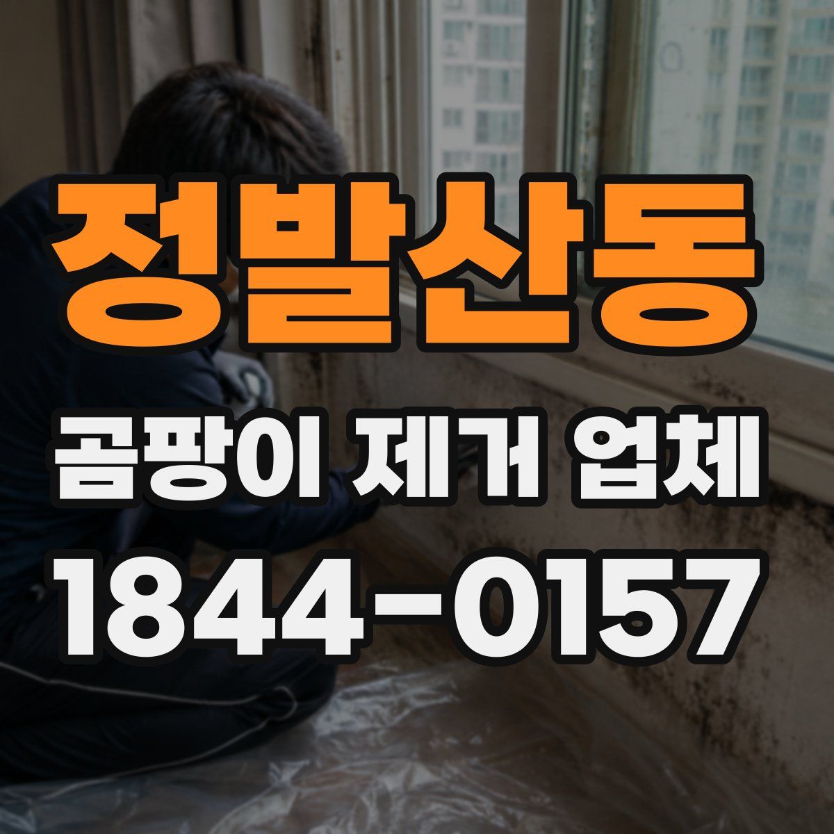 정발산동 곰팡이 제거 업체