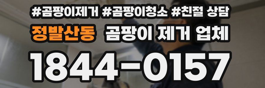 정발산동 곰팡이 제거 업체