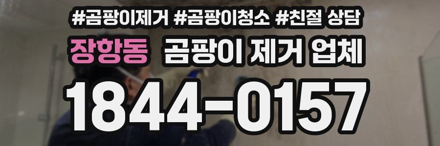 장항동 곰팡이 제거 업체