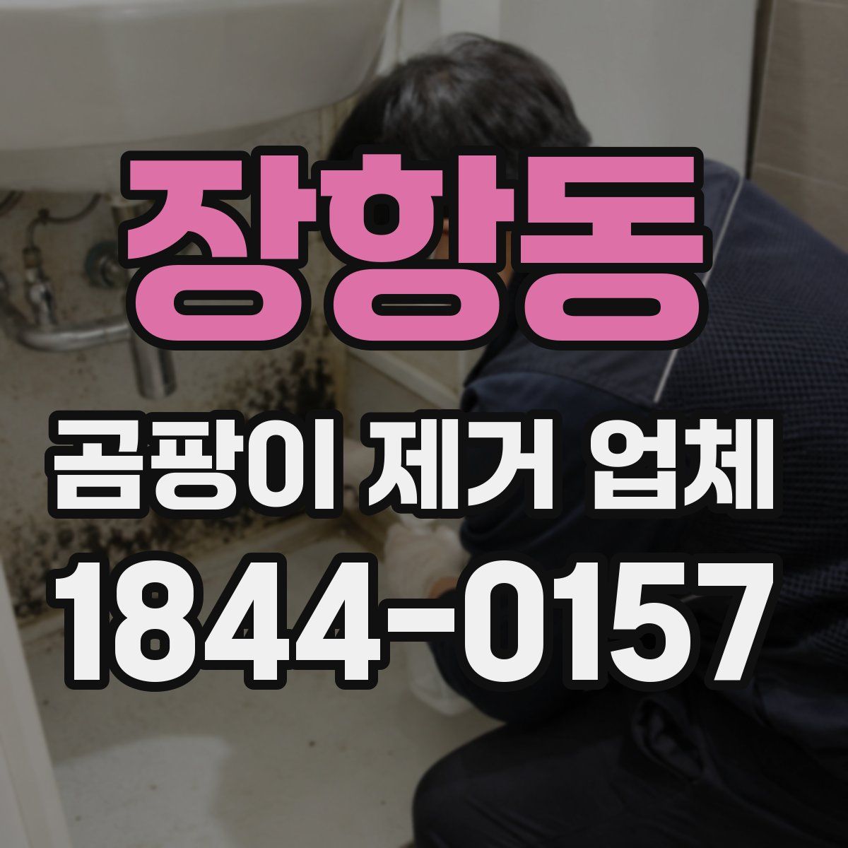 장항동 곰팡이 제거 업체
