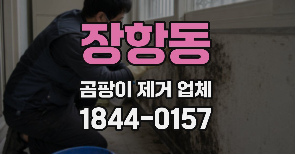 장항동 곰팡이 제거 업체