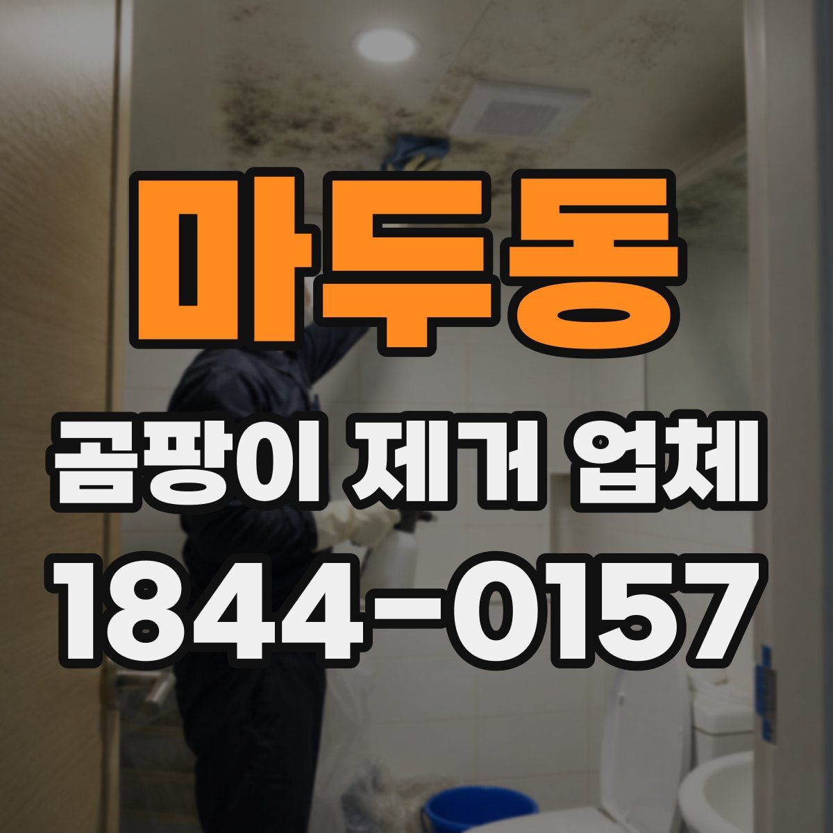 마두동 곰팡이 제거 업체