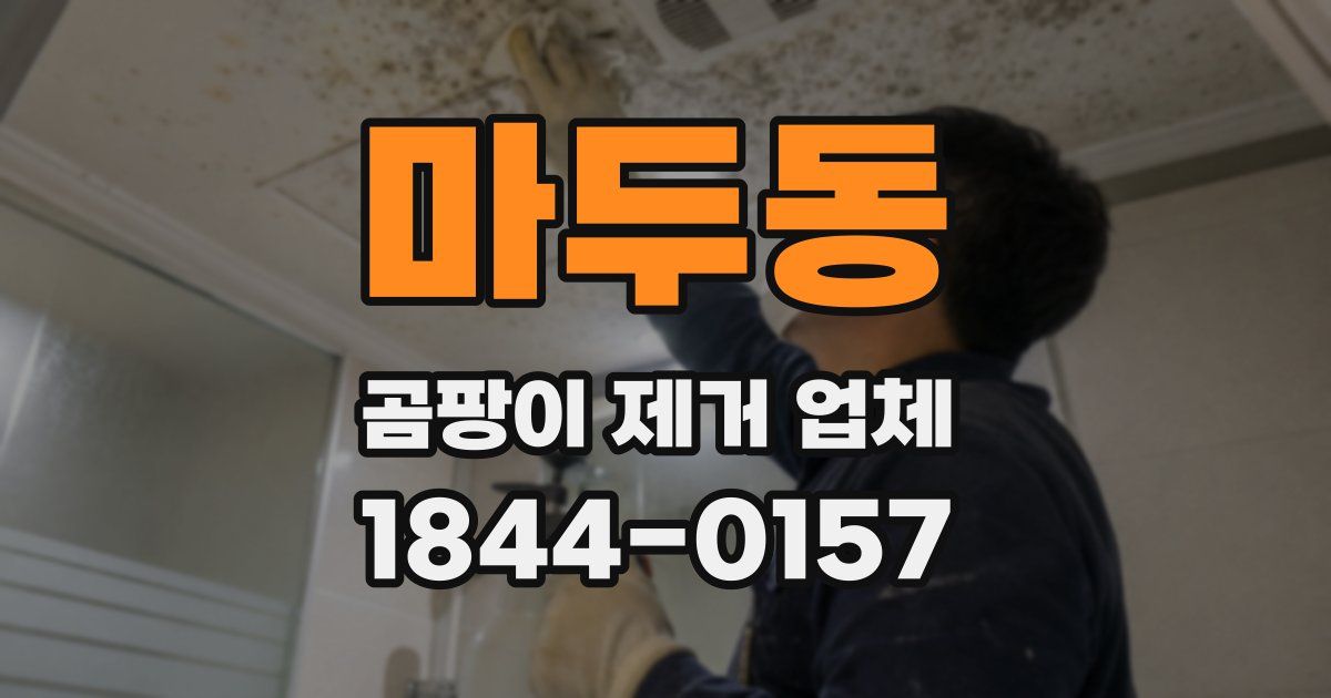 마두동 곰팡이 제거 업체