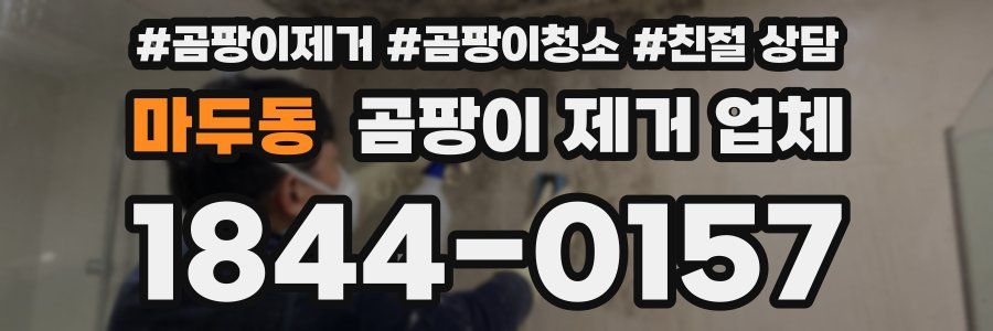 마두동 곰팡이 제거 업체