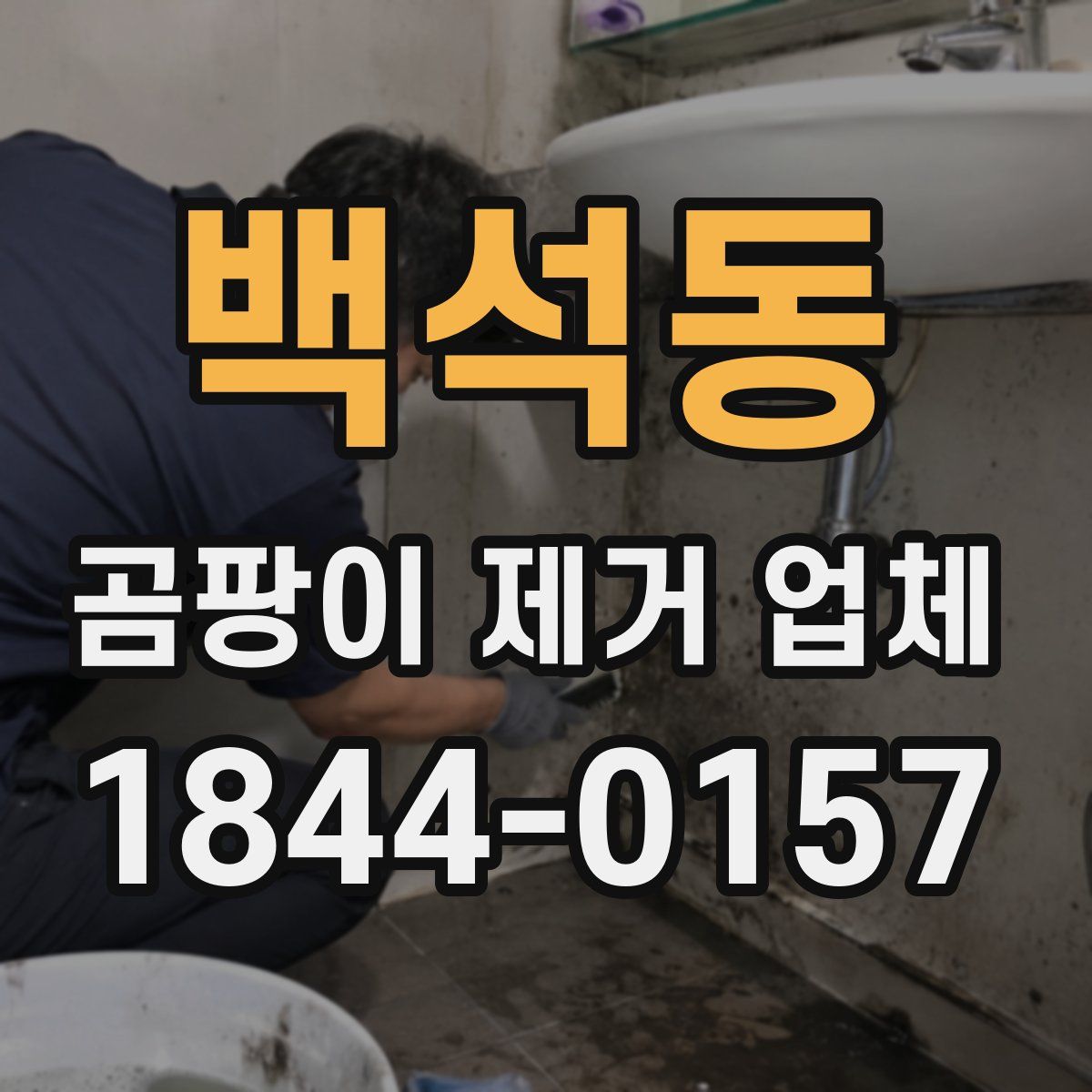 백석동 곰팡이 제거 업체