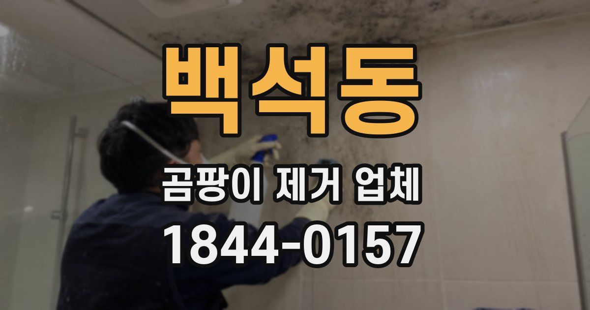 백석동 곰팡이 제거 업체