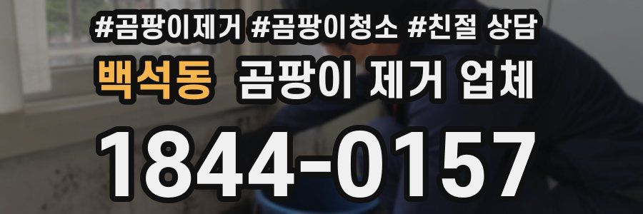 백석동 곰팡이 제거 업체