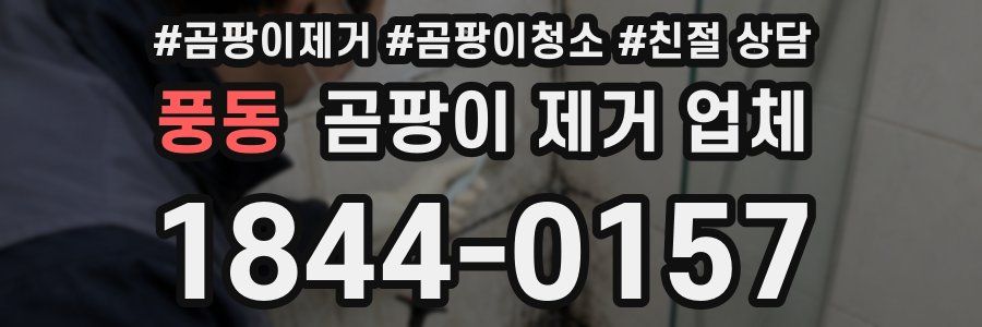 풍동 곰팡이 제거 업체