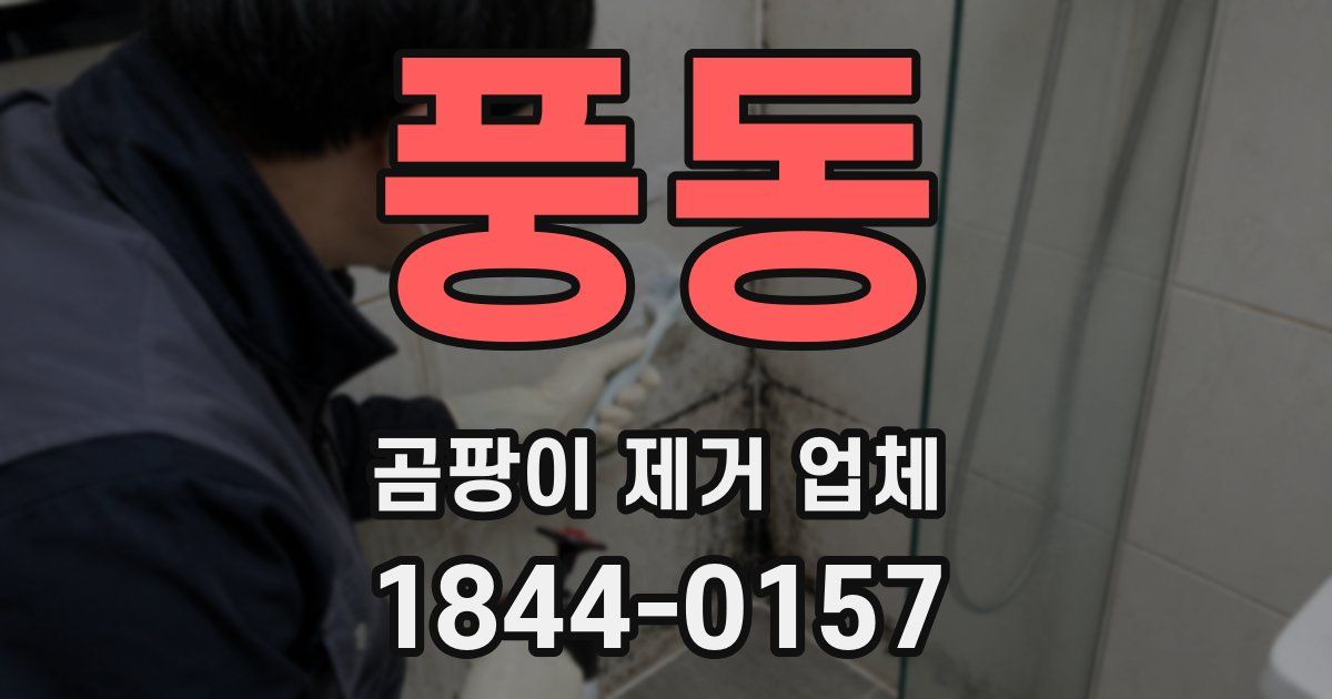 풍동 곰팡이 제거 업체
