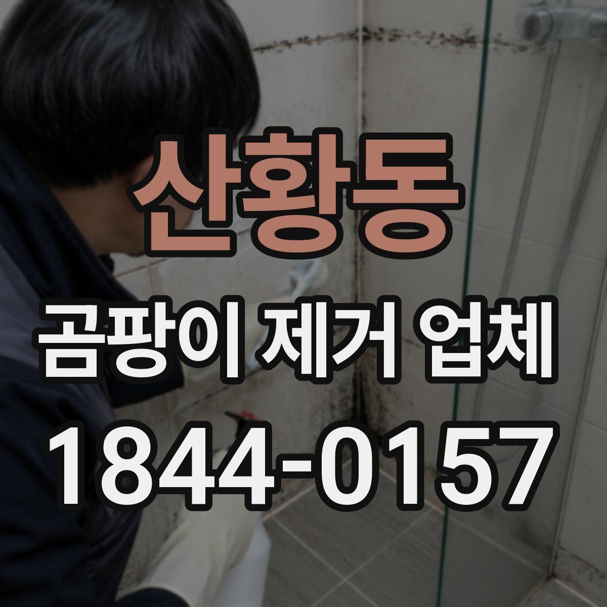 산황동 곰팡이 제거 업체