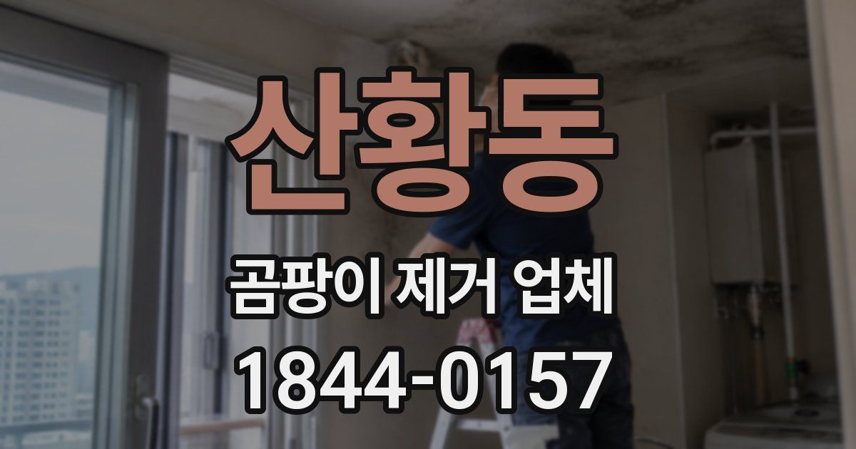 산황동 곰팡이 제거 업체