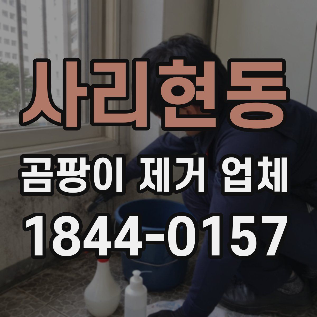 사리현동 곰팡이 제거 업체