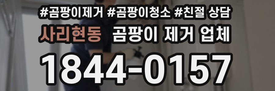 사리현동 곰팡이 제거 업체