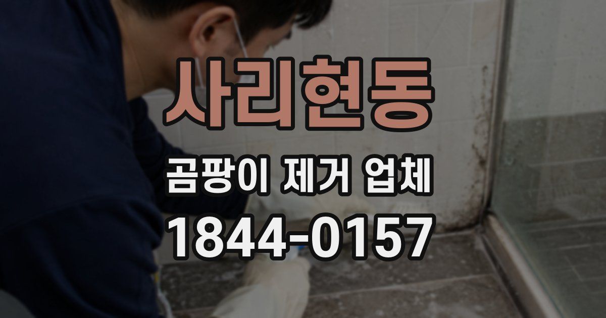 사리현동 곰팡이 제거 업체