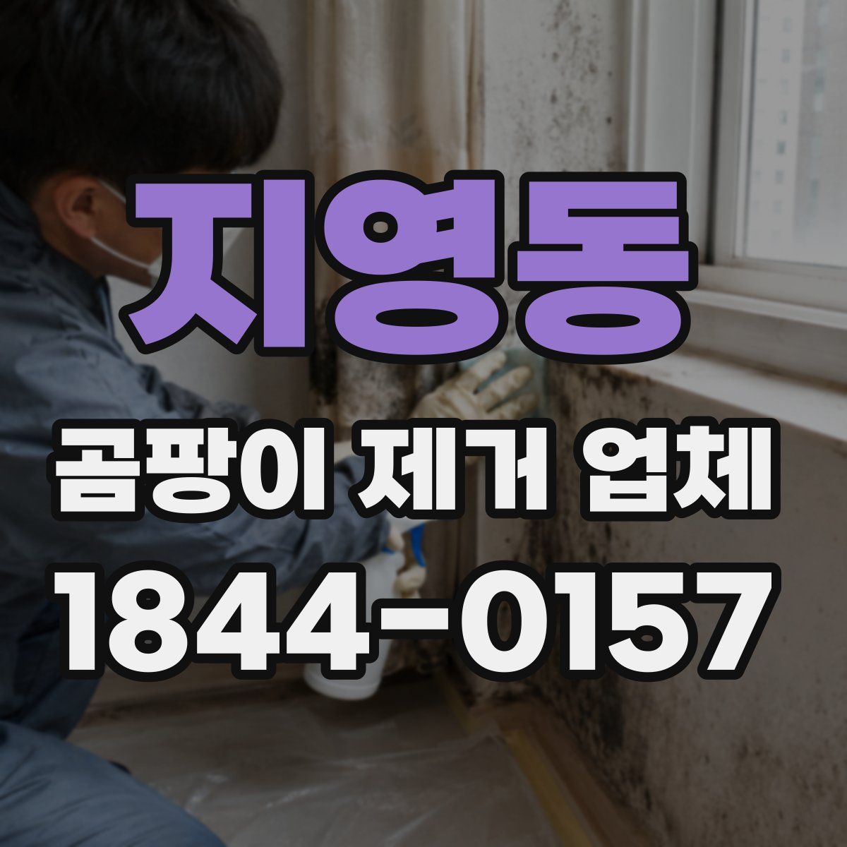 지영동 곰팡이 제거 업체