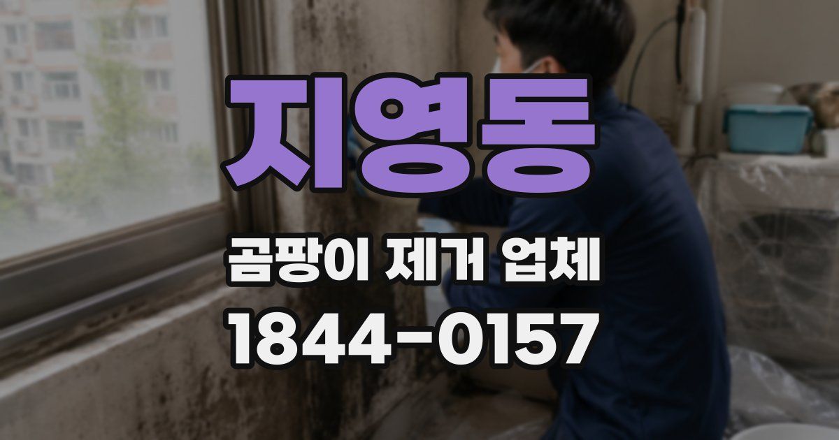 지영동 곰팡이 제거 업체