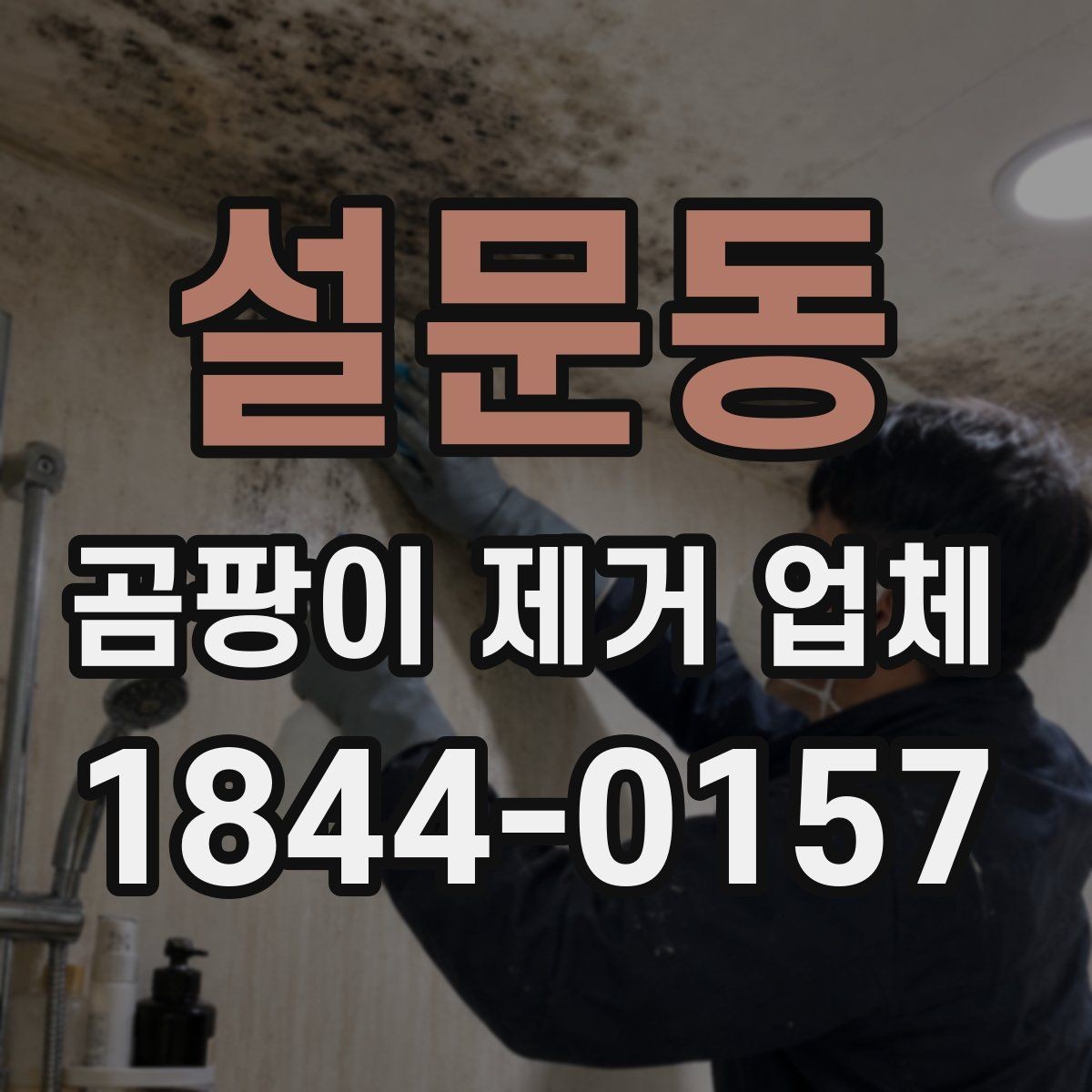 설문동 곰팡이 제거 업체 선택 시 실내 환경까지 고려하기