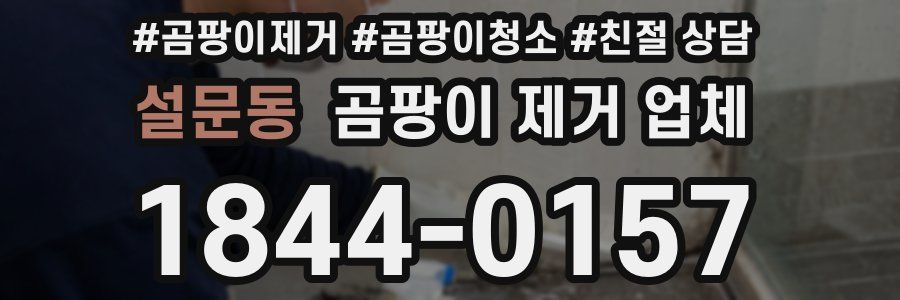 설문동 곰팡이 제거 업체