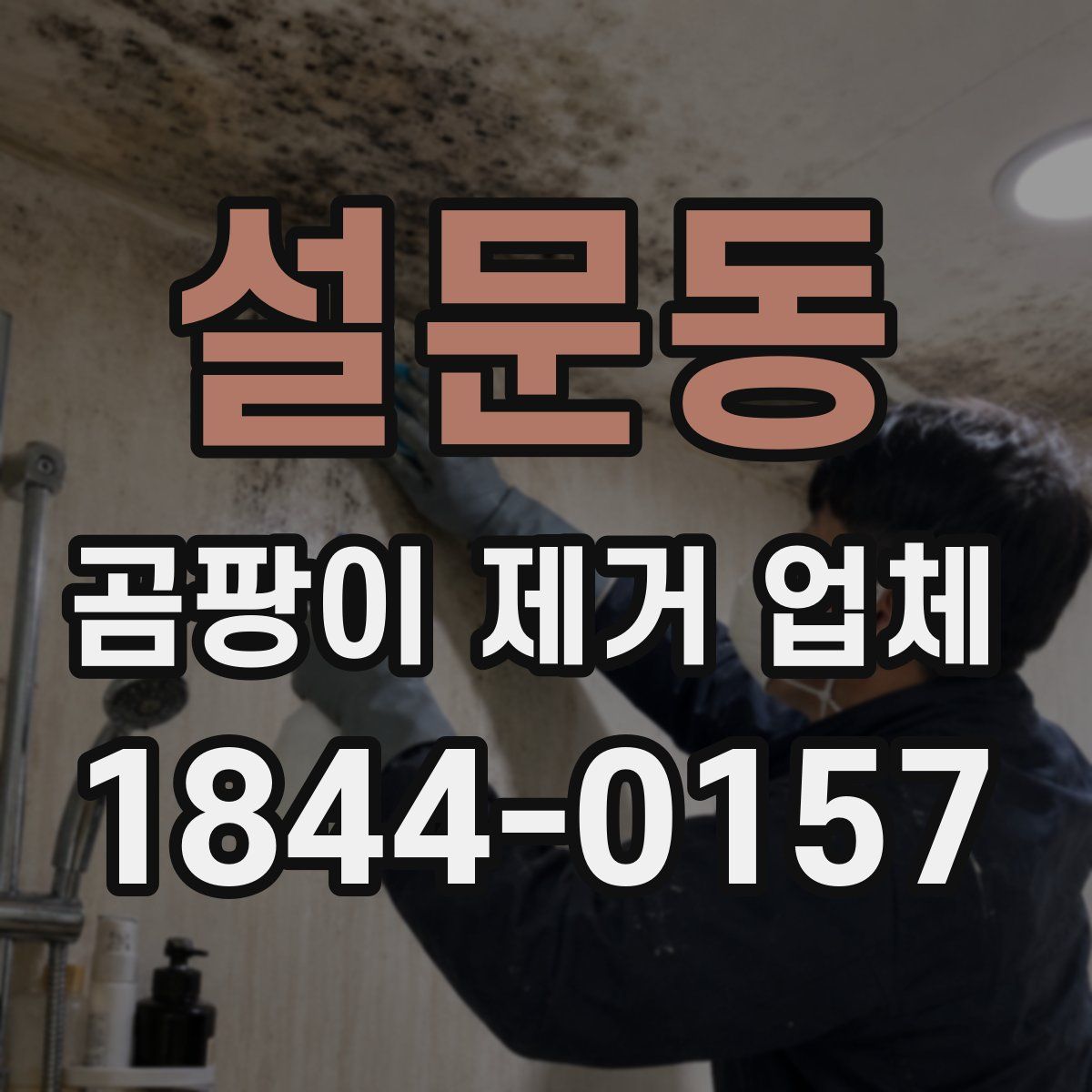 설문동 곰팡이 제거 업체