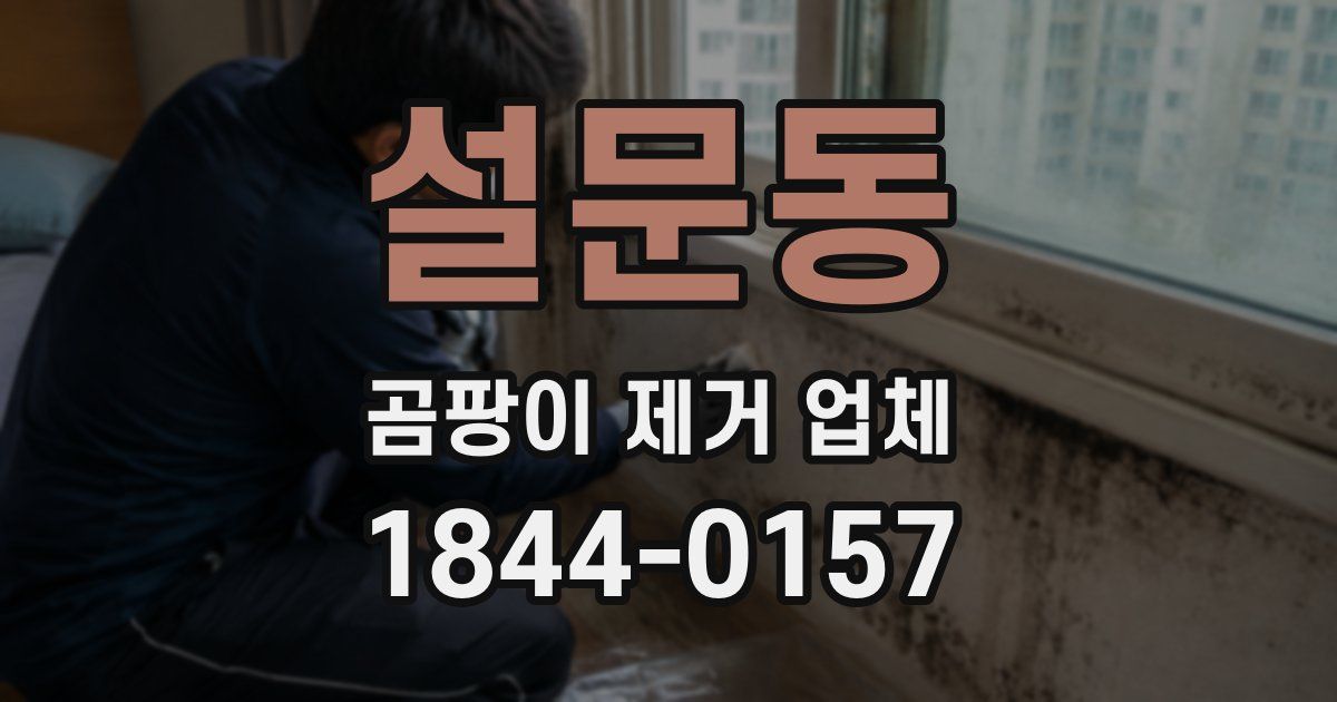 설문동 곰팡이 제거 업체