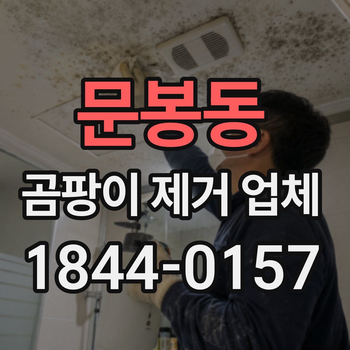 문봉동 곰팡이 제거 업체