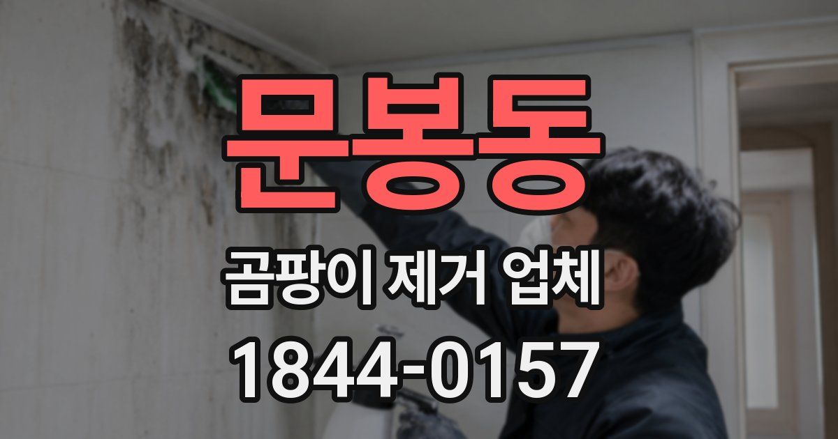 문봉동 곰팡이 제거 업체