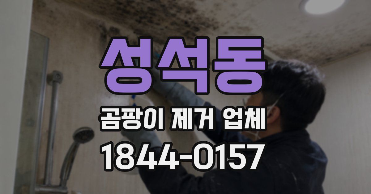 성석동 곰팡이 제거 업체