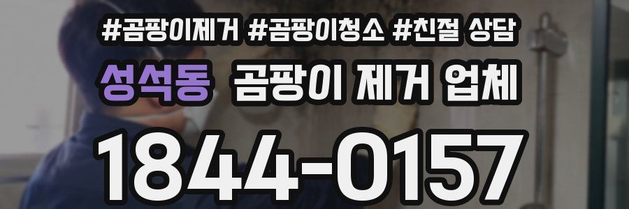 성석동 곰팡이 제거 업체