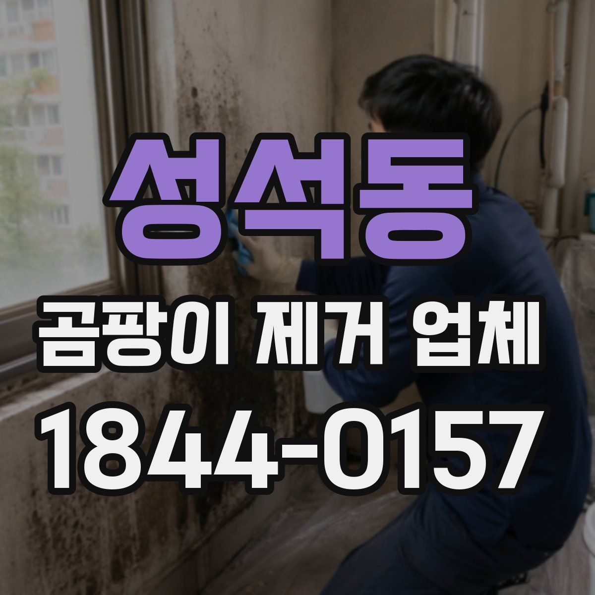 성석동 곰팡이 제거 업체