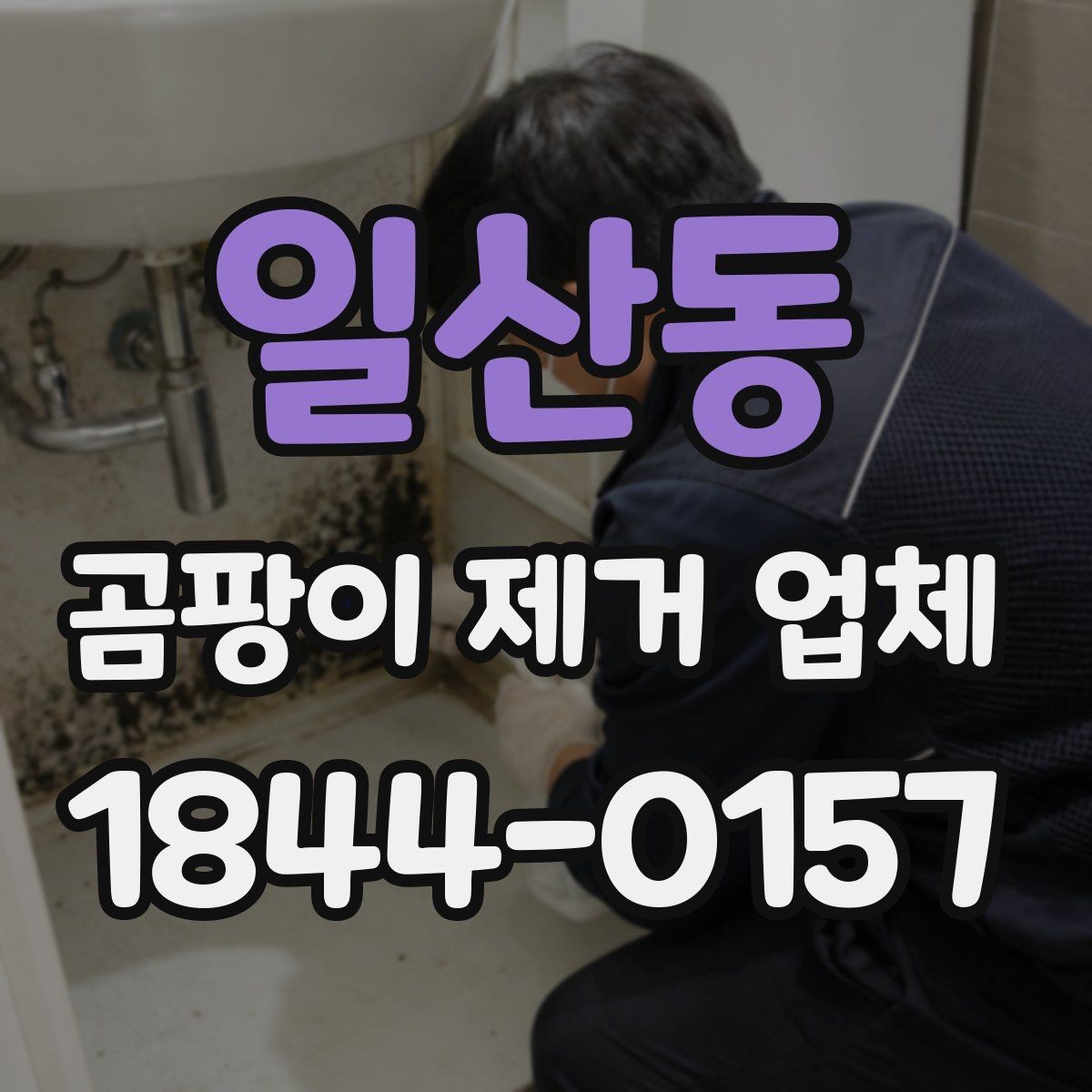 일산동 곰팡이 제거 업체 사용 후기에서 신뢰할 정보 찾기