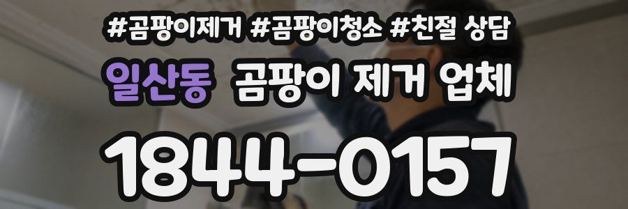 일산동 곰팡이 제거 업체