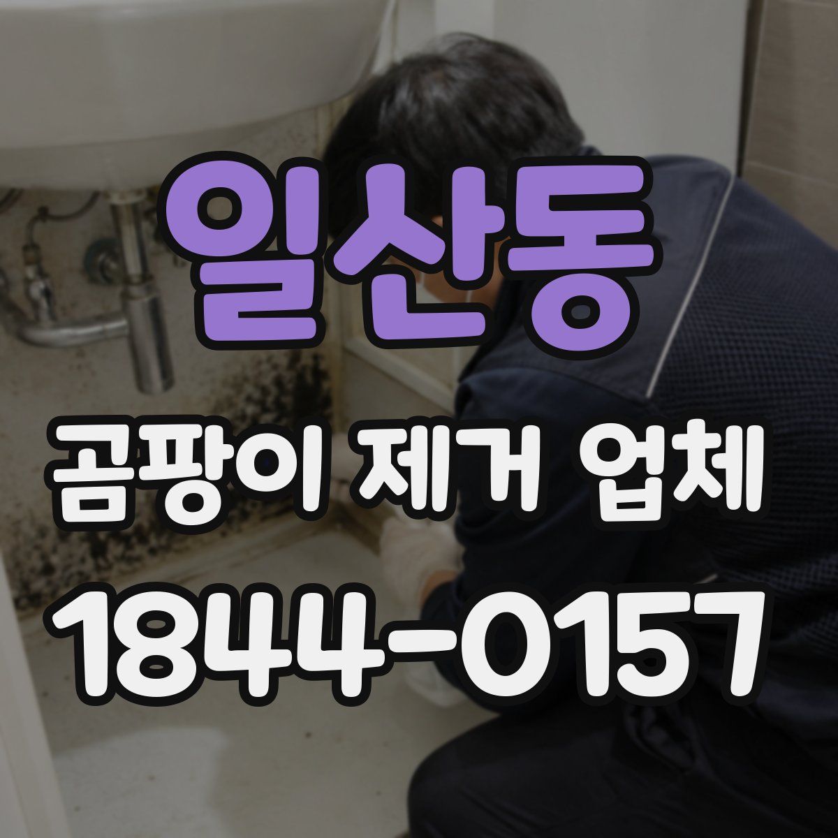 일산동 곰팡이 제거 업체