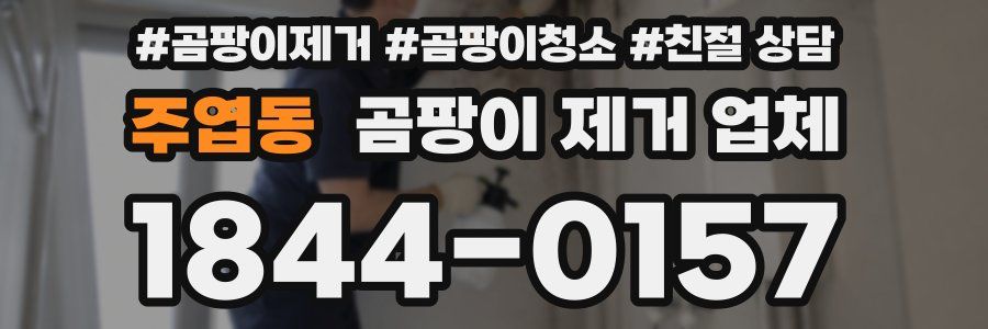 주엽동 곰팡이 제거 업체