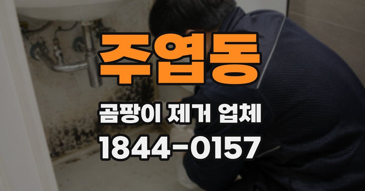 주엽동 곰팡이 제거 업체