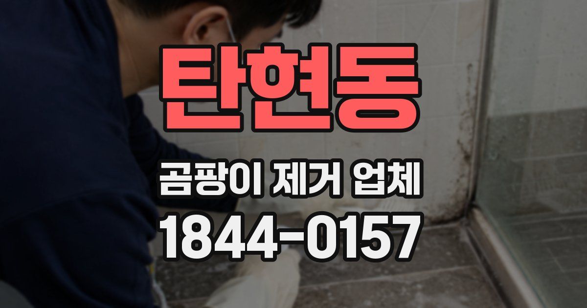 탄현동 곰팡이 제거 업체