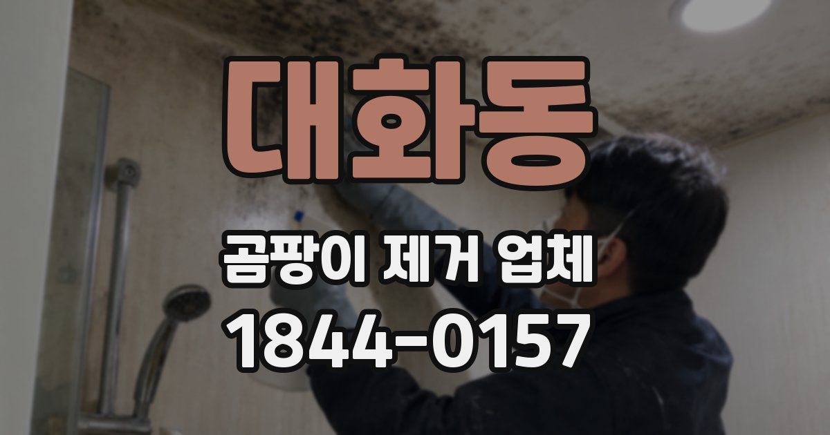 대화동 곰팡이 제거 업체