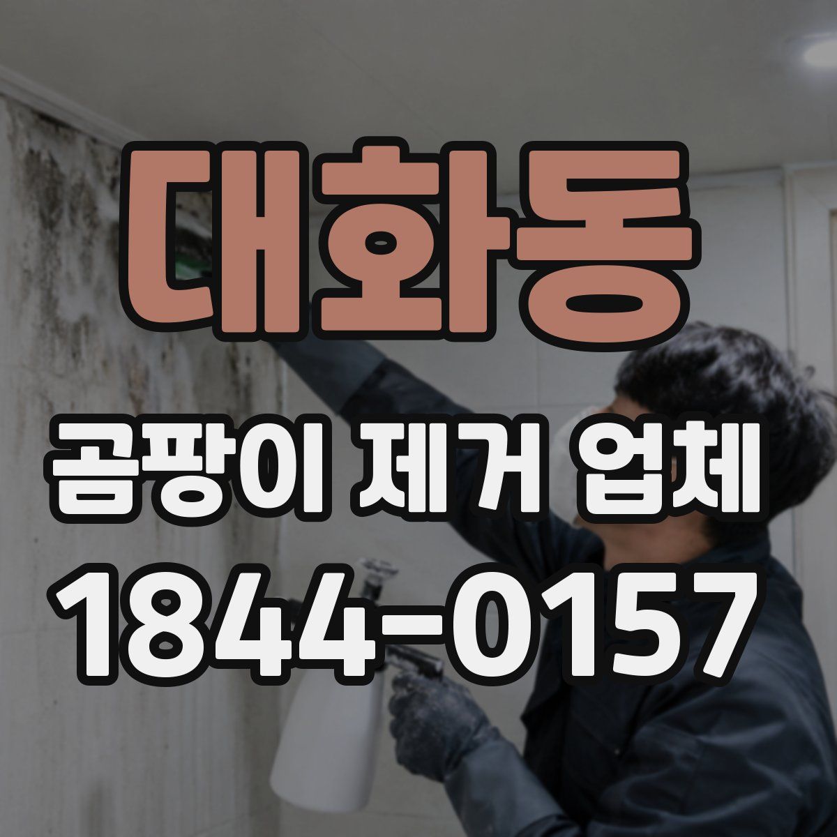 대화동 곰팡이 제거 업체
