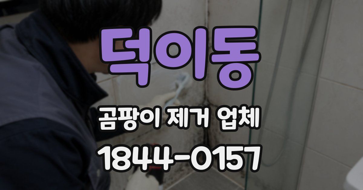 덕이동 곰팡이 제거 업체