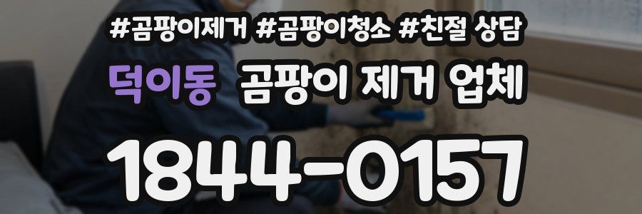 덕이동 곰팡이 제거 업체