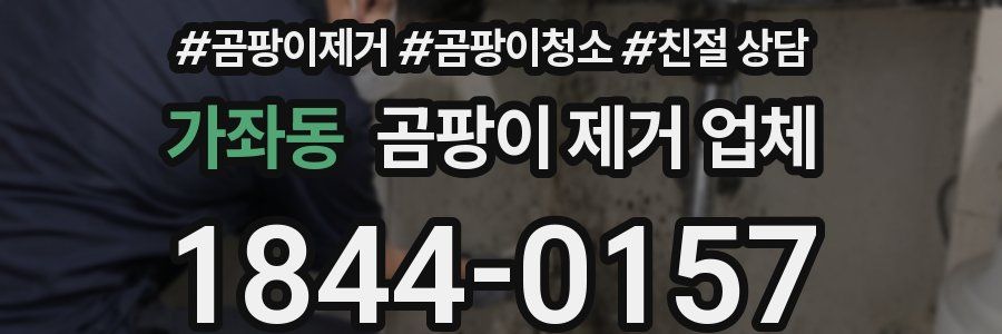 가좌동 곰팡이 제거 업체