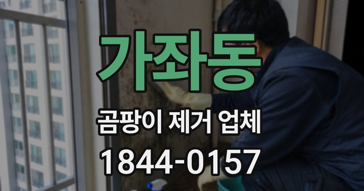 가좌동 곰팡이 제거 업체