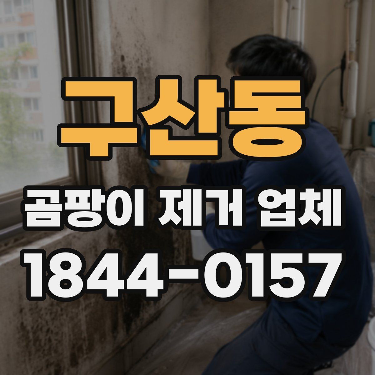 구산동 곰팡이 제거 업체 상담 시 꼭 물어볼 질문