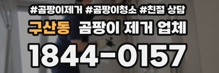 구산동 곰팡이 제거 업체