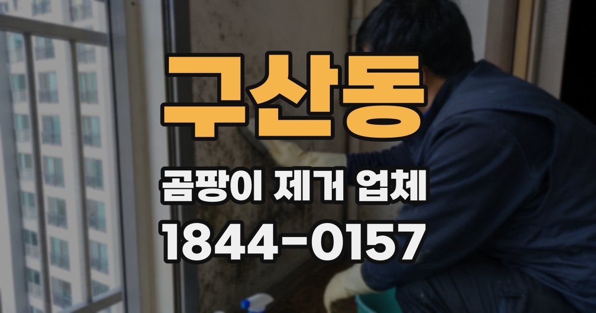 구산동 곰팡이 제거 업체