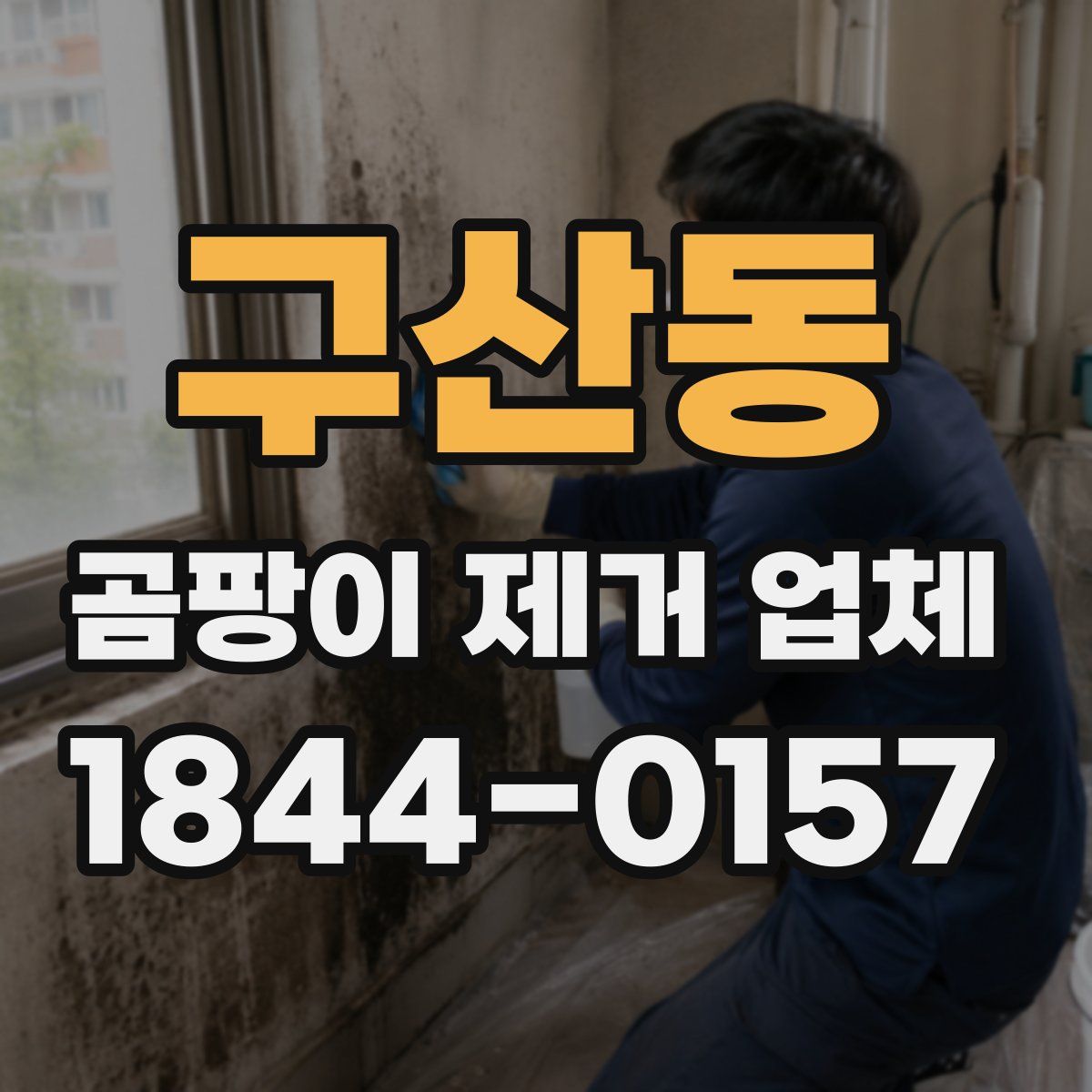 구산동 곰팡이 제거 업체