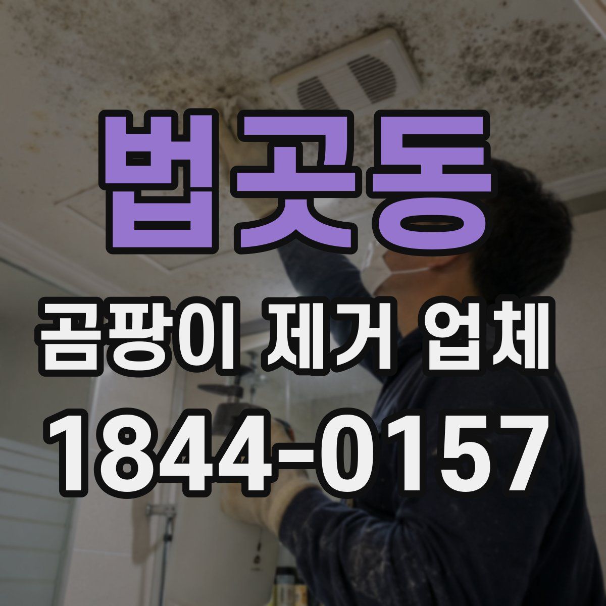 법곳동 곰팡이 제거 업체