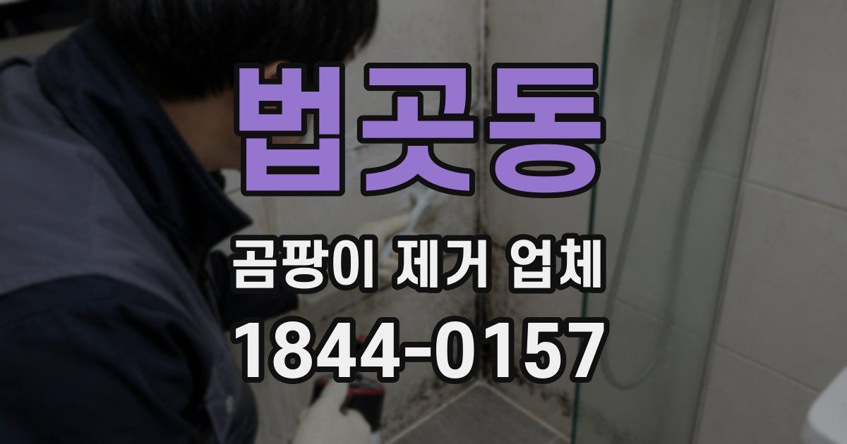 법곳동 곰팡이 제거 업체